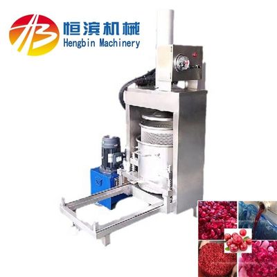 200 kg/h Commercial Hydraulique Ananas Mangue Celery Fraise Citron Pomme Banane Poire Juicer presseuse
