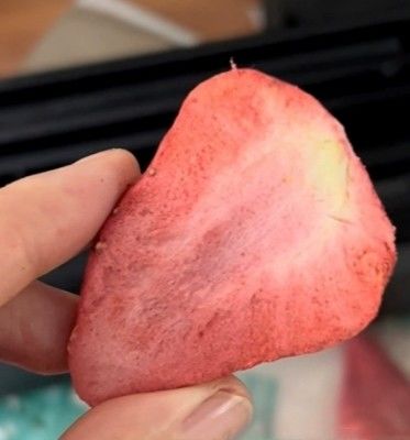 10 kg par lot Séchoir à vide pour la transformation à grande échelle des fruits et légumes