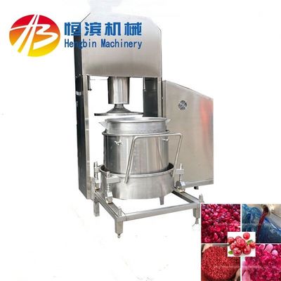 Juicer de myrtilles de mangue d'ananas de tomate avec 15% à 20% de rendement et de taux d'extraction plus élevés