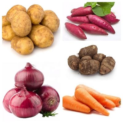 Machine à éplucher les carottes Taro à haute productivité pour les pommes de terre industrielles