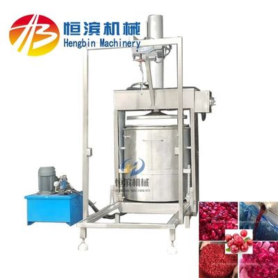 Facile à utiliser 300L Juicer pur hydraulique pour une productivité élevée