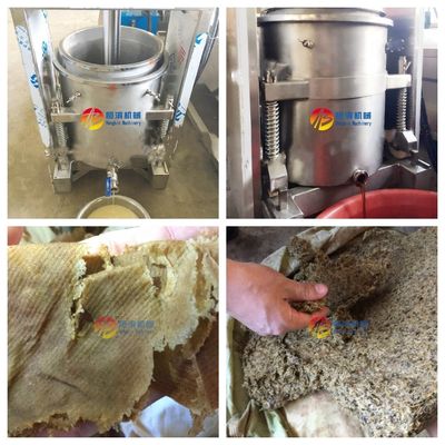 Facile à utiliser 300L Juicer pur hydraulique pour une productivité élevée