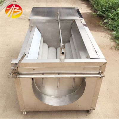 Machine à laver le gingembre rouleau de brosse pour la carotte le manioc les pommes de terre le curcuma le yams peeling