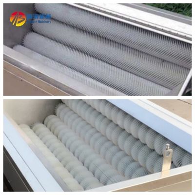 Machine de lavage et de pellicule de pommes de terre industrielle à haute productivité pour un fonctionnement facile