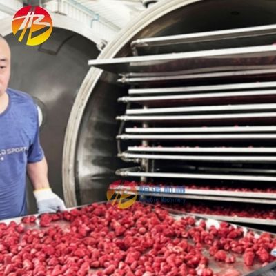 200 kg par lot Machine de congélation à haute productivité commerciale pour un fonctionnement facile