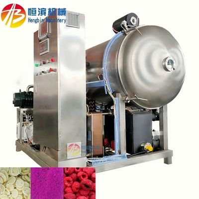 Capacité de 200 kg/ lot Machine de déshydratation par congélation sous vide pour séchoir à gel de fleurs et de bonbons