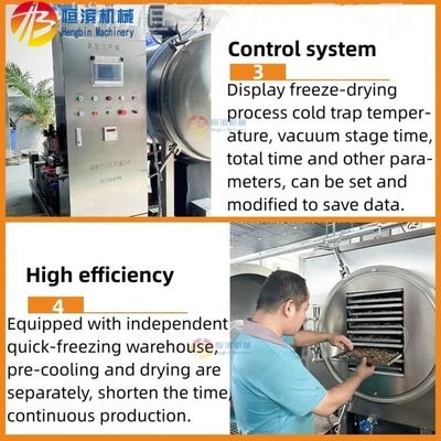 Facile à utiliser machine à vide congélation de nourriture séchée avec une productivité élevée et la pré-congélation