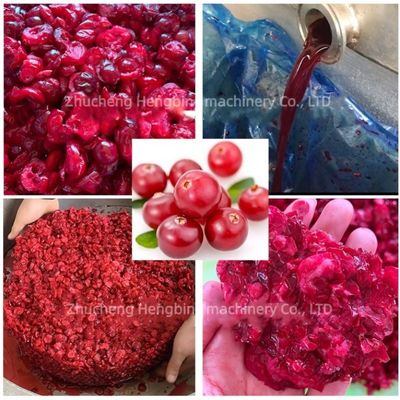 Juicer hydraulique pour pommes de grenade, lait de coco et autres fruits 400 kg