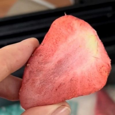 Équipement de déshydratation par congélation sous vide pour les viandes de fruits et de légumes dans les milieux commerciaux