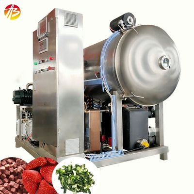 Machine de séchage sous vide et congélateur de fruits et légumes de 21 mètres carrés